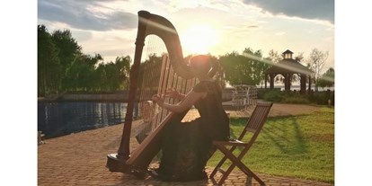 Hochzeitsmusik - geeignet für: Hintergrundmusik - Stainz - Harpist For Your Event in Graz