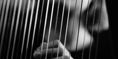 Hochzeitsmusik - geeignet für: Sektempfang - Deutschlandsberg - Harpist For Your Event in Graz