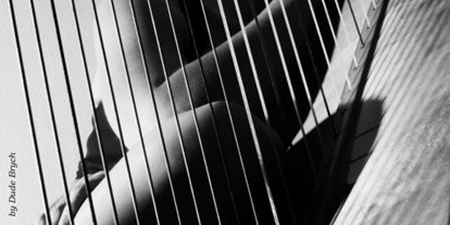Hochzeitsmusik - Besetzung (mögl. Instrumente): Harfe - Bayern - Barbara Regnat - Harfe